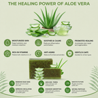 Royal Aloe Hydration Bar